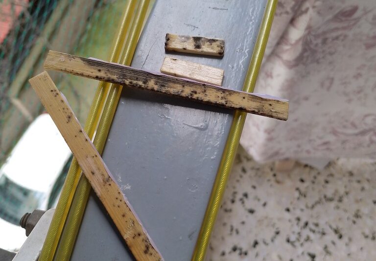 Rain gauge attacked by mold